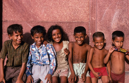 Bacterial membrane targeting to improve antibiotic activity 